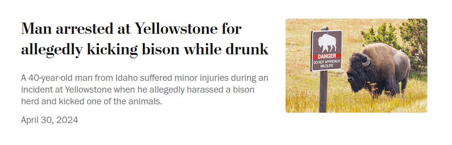 A headline in The Washington Post reads: "Man arrested at Yellowstone for allegedly kicking bison while drunk"