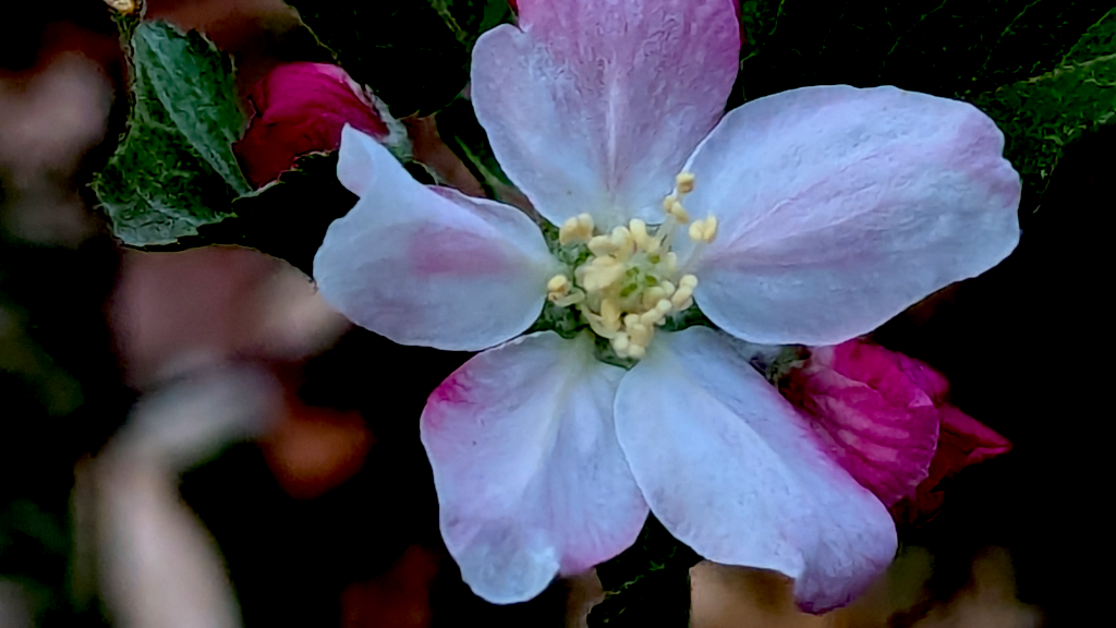 The Absurdity of These Priorities