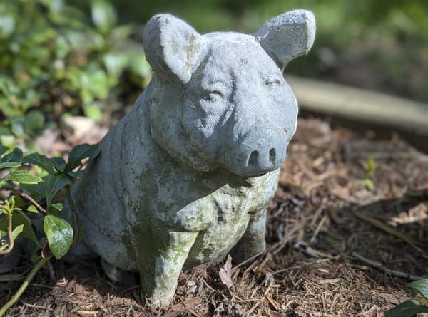 Agriculture Secretary to Test All Farm Animals for Bovine Serum Albumen